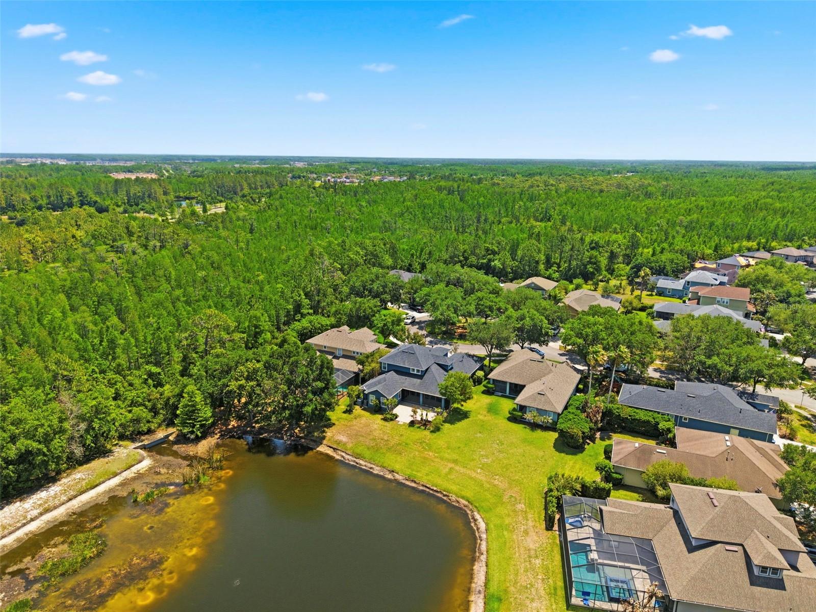 20629 WILD PLUM CT, LAND O LAKES, FL, 34637