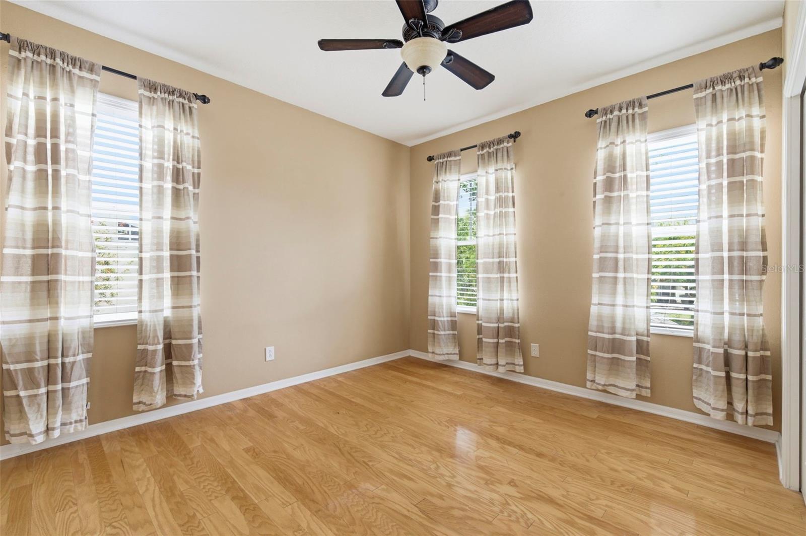 20629 WILD PLUM CT, LAND O LAKES, FL, 34637