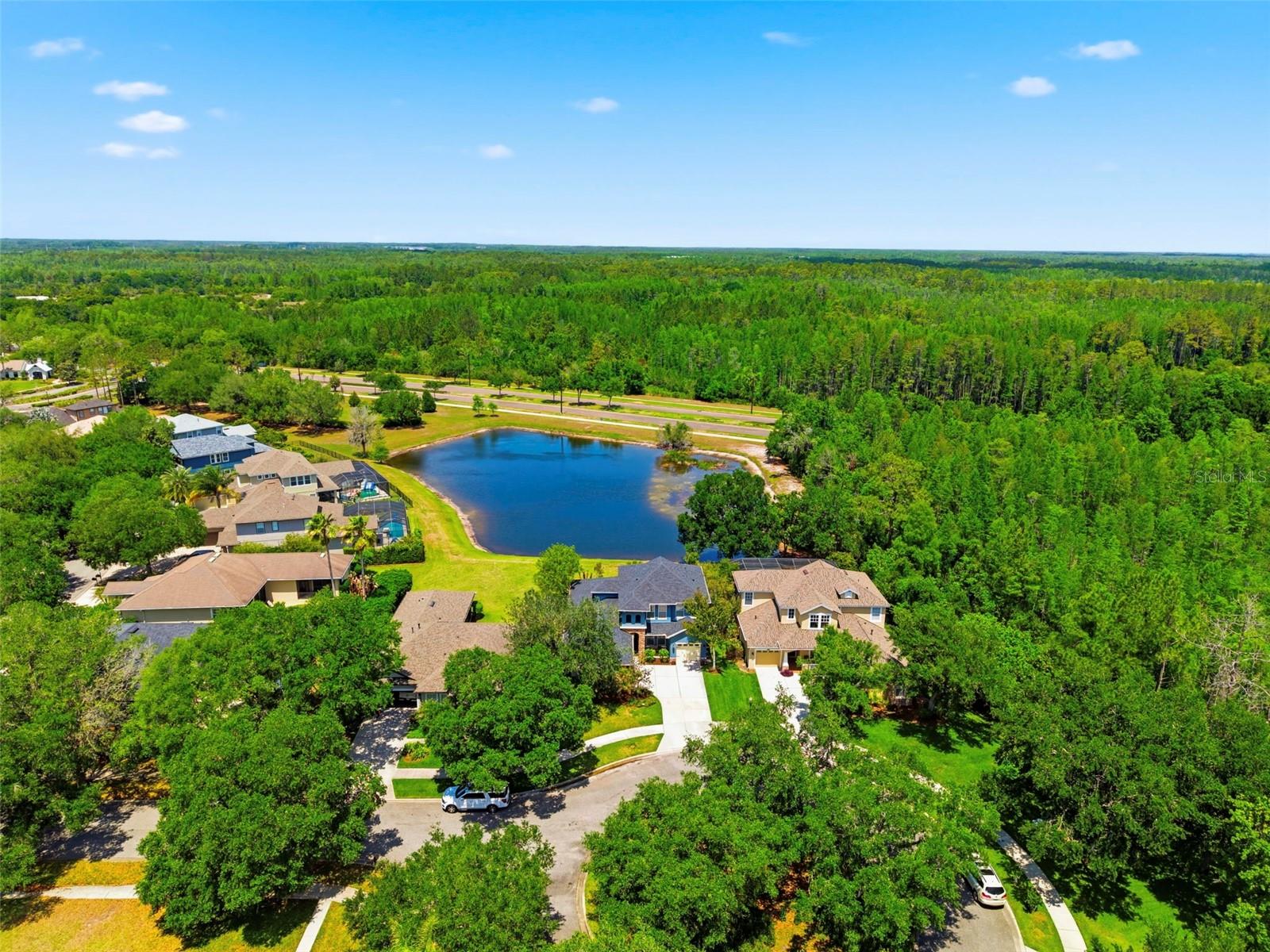 20629 WILD PLUM CT, LAND O LAKES, FL, 34637