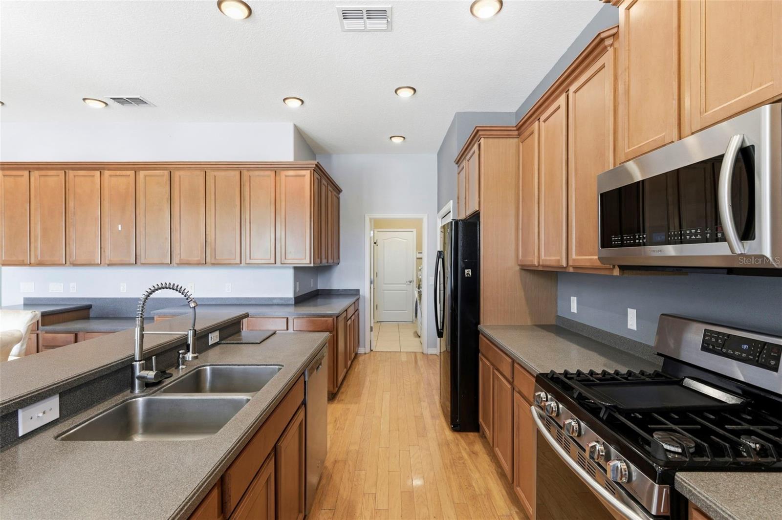 20629 WILD PLUM CT, LAND O LAKES, FL, 34637