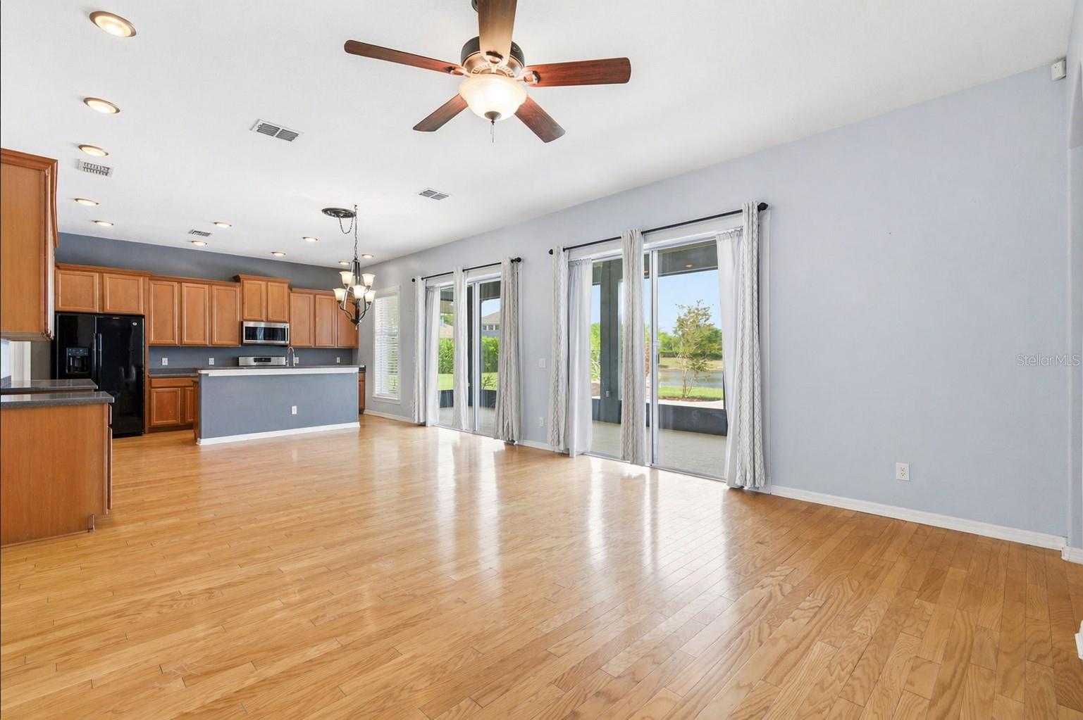 20629 WILD PLUM CT, LAND O LAKES, FL, 34637