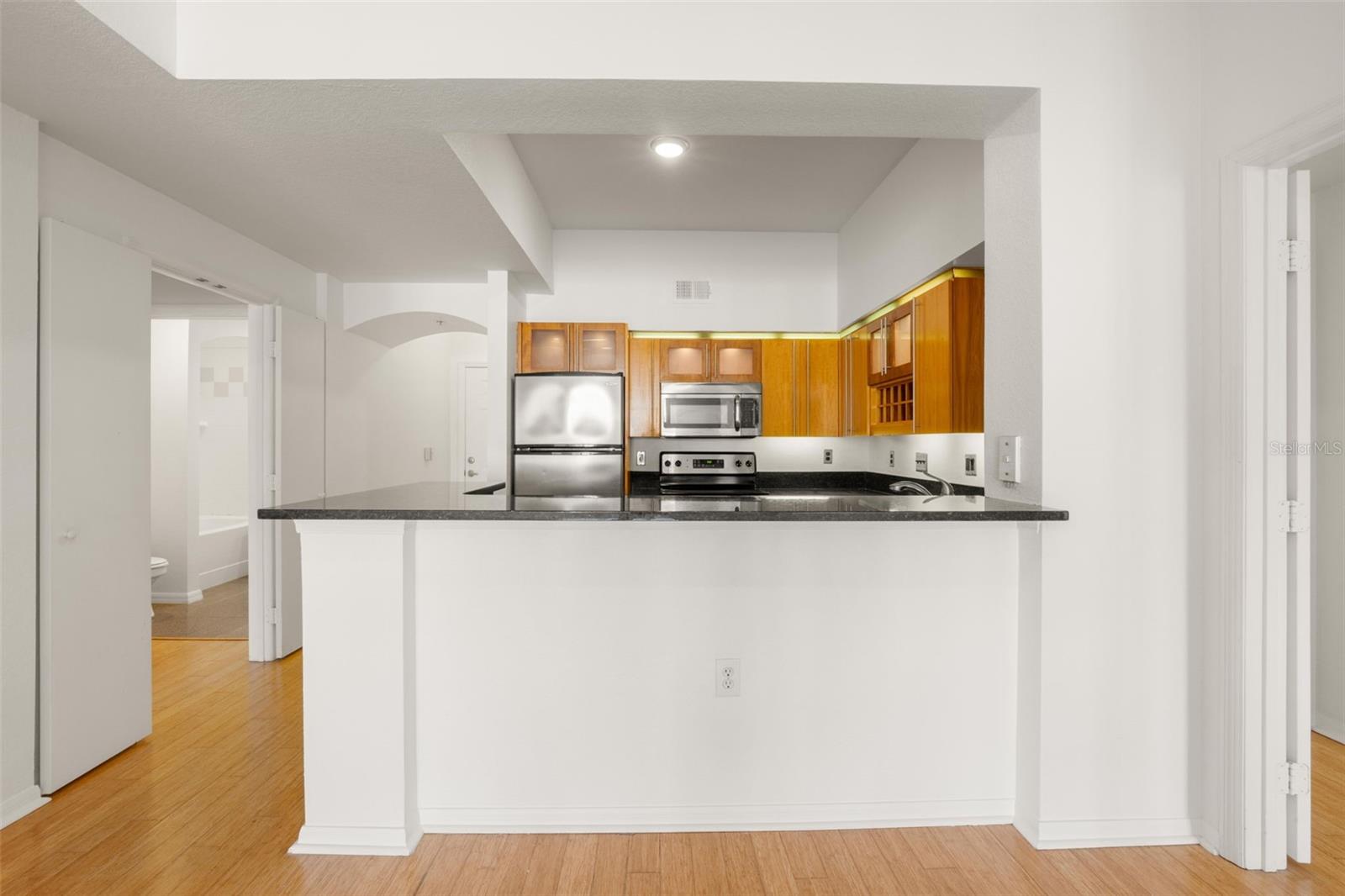 200 4TH AVE S #302, ST PETERSBURG, FL, 33701