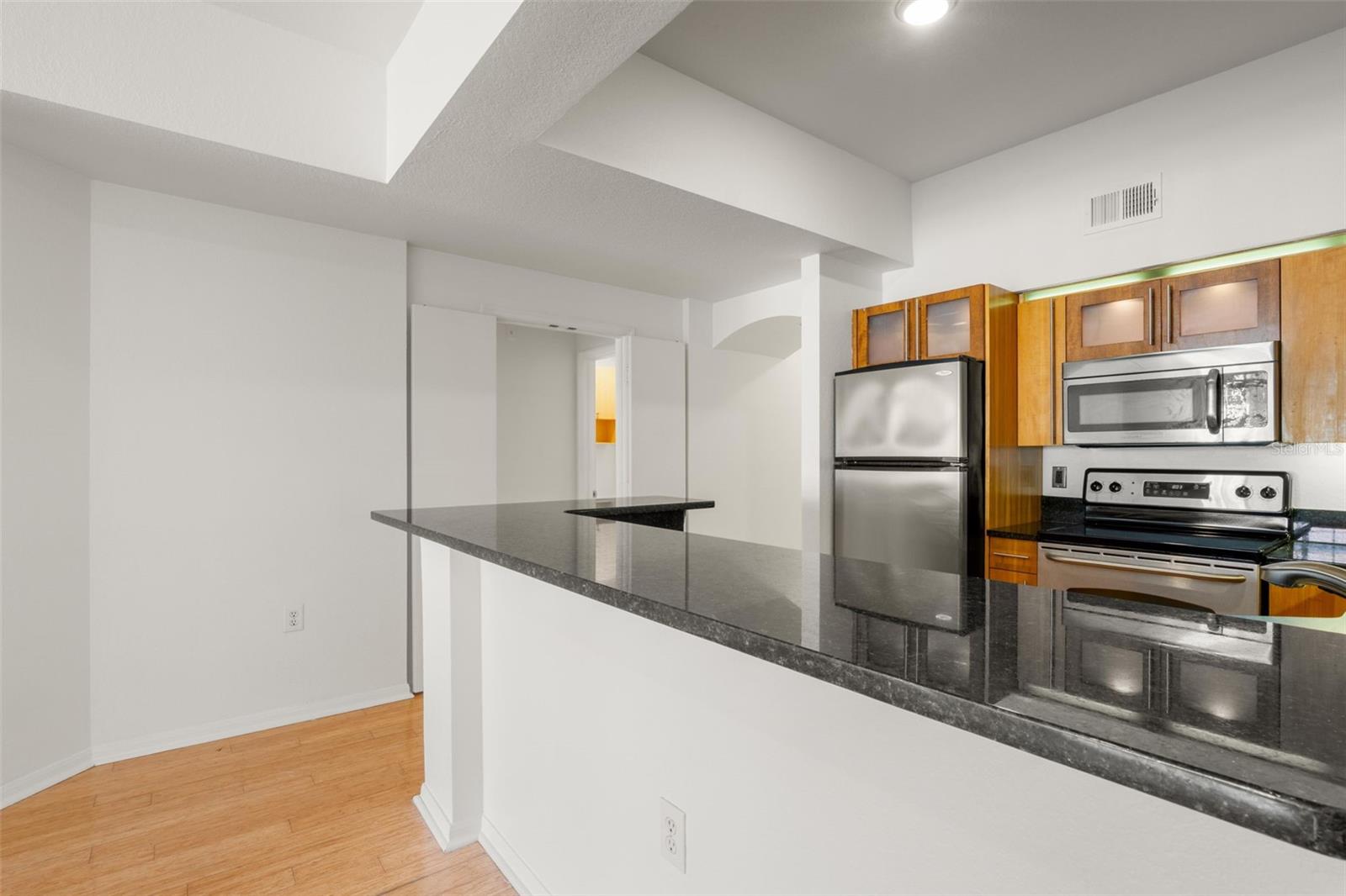 200 4TH AVE S #302, ST PETERSBURG, FL, 33701