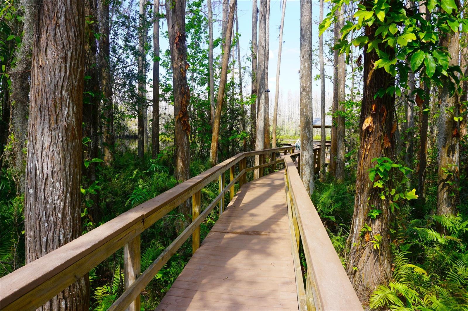 20857 HAULOVER CV #B14, LUTZ, FL, 33558