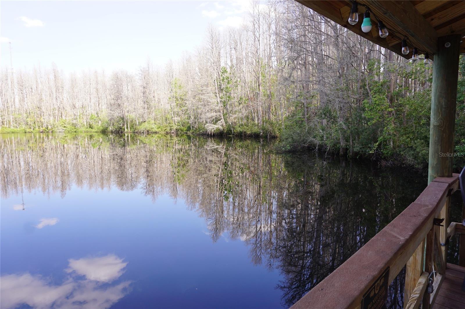 20857 HAULOVER CV #B14, LUTZ, FL, 33558