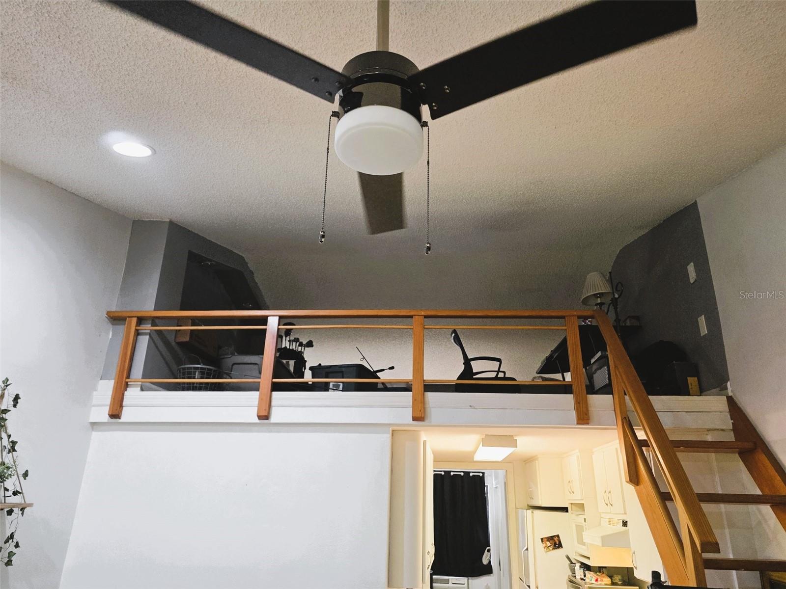 20857 HAULOVER CV #B14, LUTZ, FL, 33558