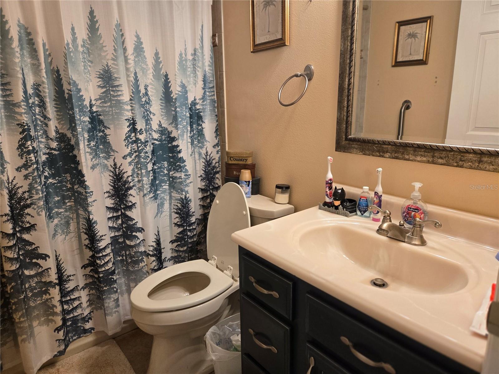 2672 SE 35TH ST, SUMTERVILLE, FL, 33585