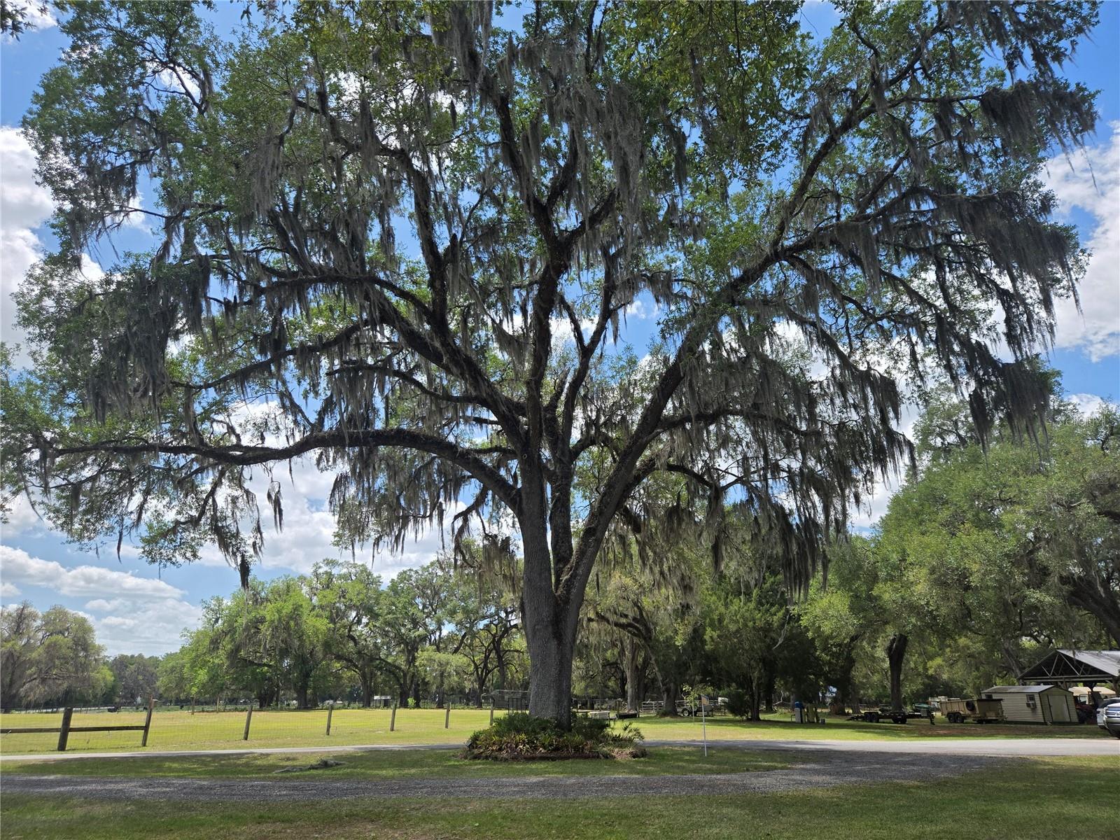 2672 SE 35TH ST, SUMTERVILLE, FL, 33585