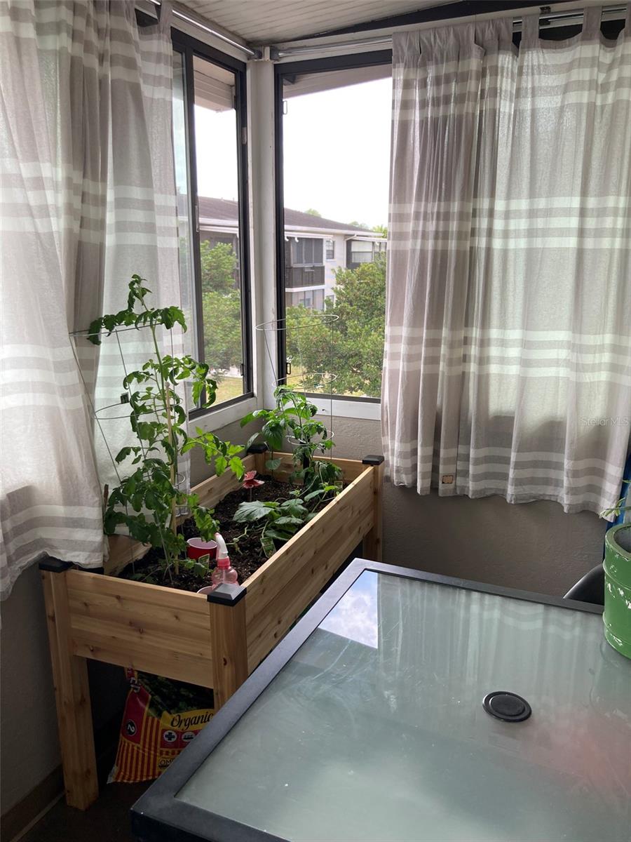 5967 TERRACE PARK DR N #206, ST PETERSBURG, FL, 33709