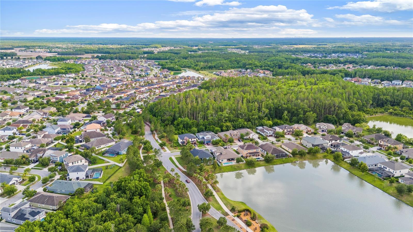 31976 WATOGA LOOP, WESLEY CHAPEL, FL, 33543