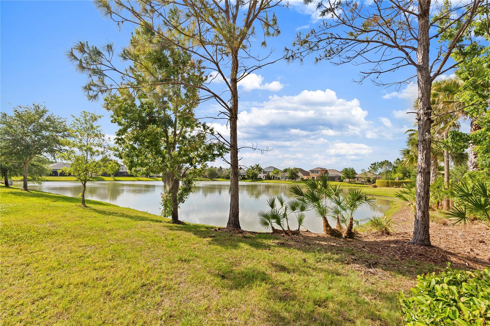 31976 WATOGA LOOP, WESLEY CHAPEL, FL, 33543