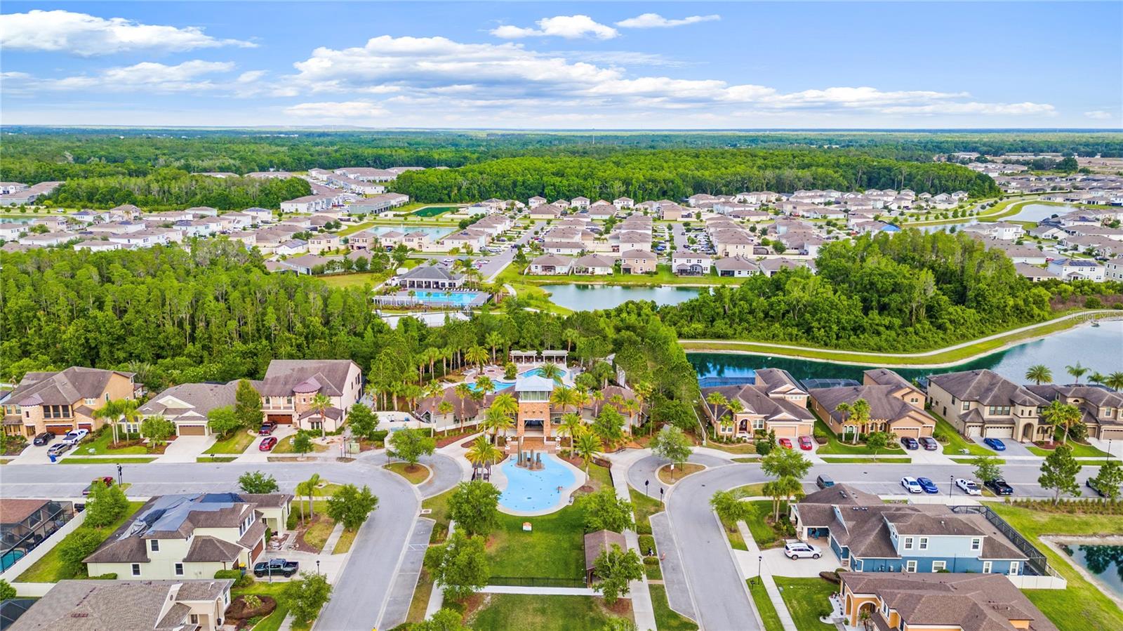 31976 WATOGA LOOP, WESLEY CHAPEL, FL, 33543