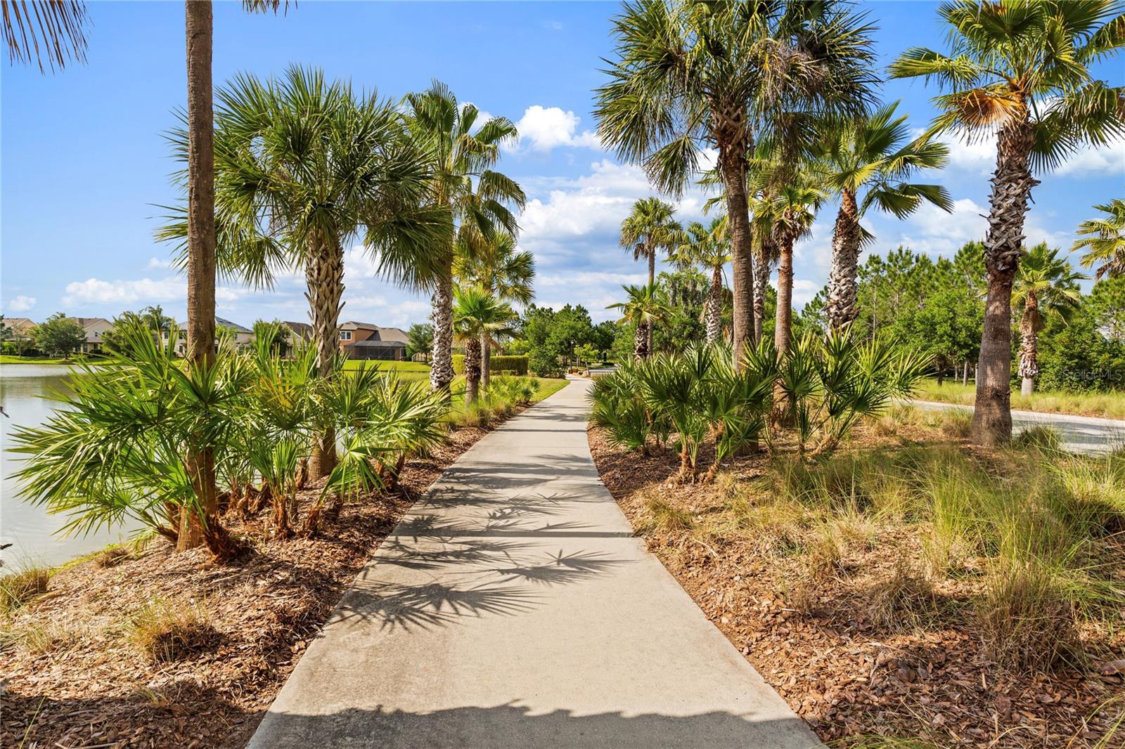 31976 WATOGA LOOP, WESLEY CHAPEL, FL, 33543