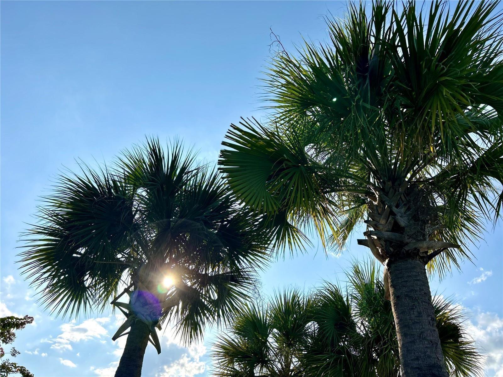 4652 SPARKLING SHELL AVE, KISSIMMEE, FL, 34746