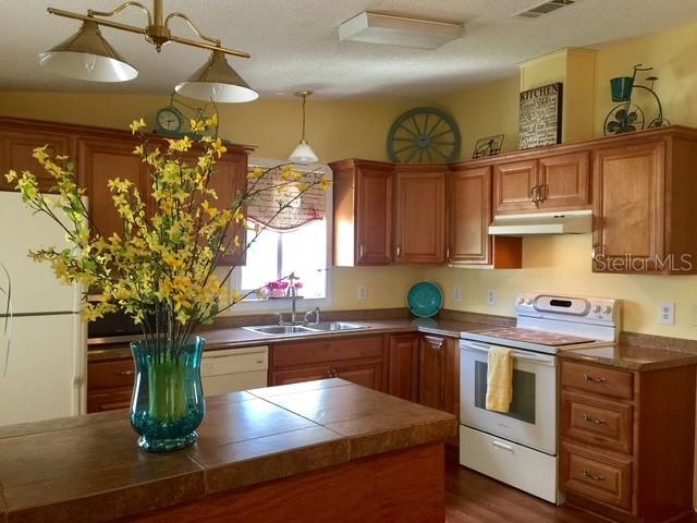 1215 PANAMA PL, LADY LAKE, FL, 32159