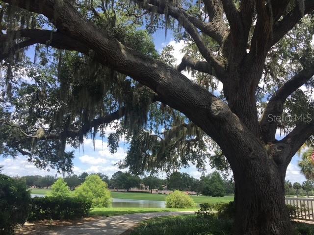 1215 PANAMA PL, LADY LAKE, FL, 32159