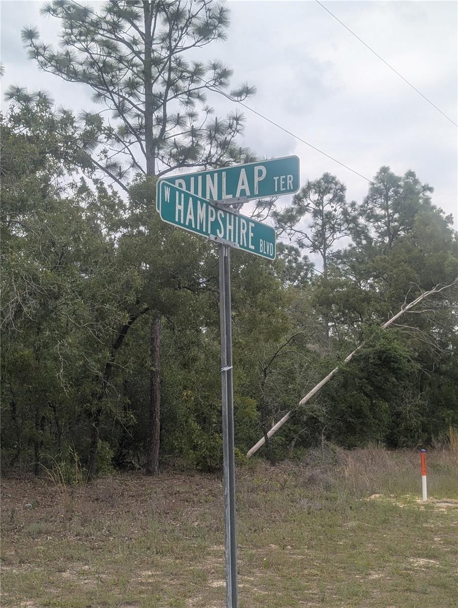 6443 N DUNLAP TER, CITRUS SPRINGS, FL, 34433