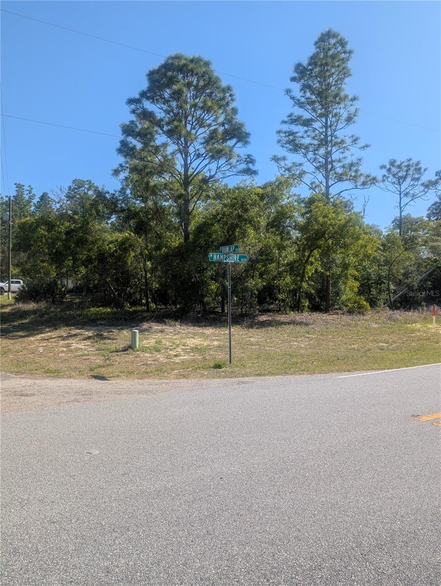 6443 N DUNLAP TER, CITRUS SPRINGS, FL, 34433