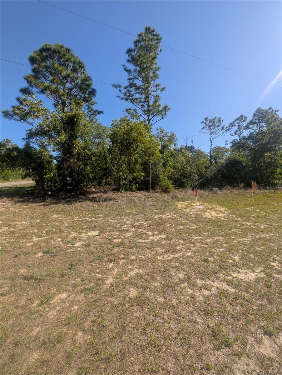 6443 N DUNLAP TER, CITRUS SPRINGS, FL, 34433