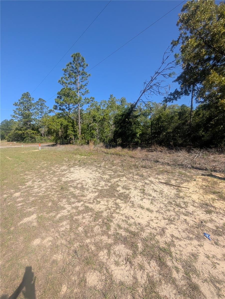 6443 N DUNLAP TER, CITRUS SPRINGS, FL, 34433