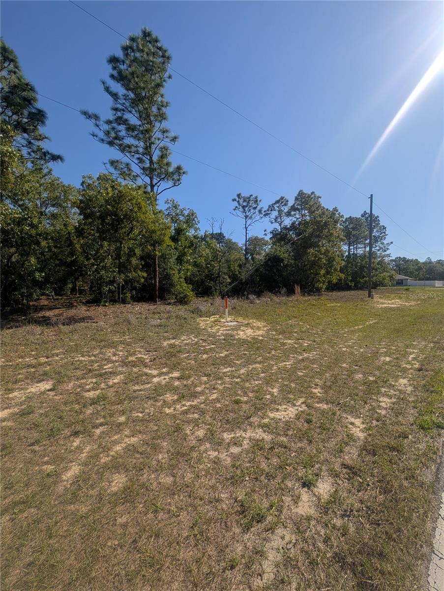 6443 N DUNLAP TER, CITRUS SPRINGS, FL, 34433