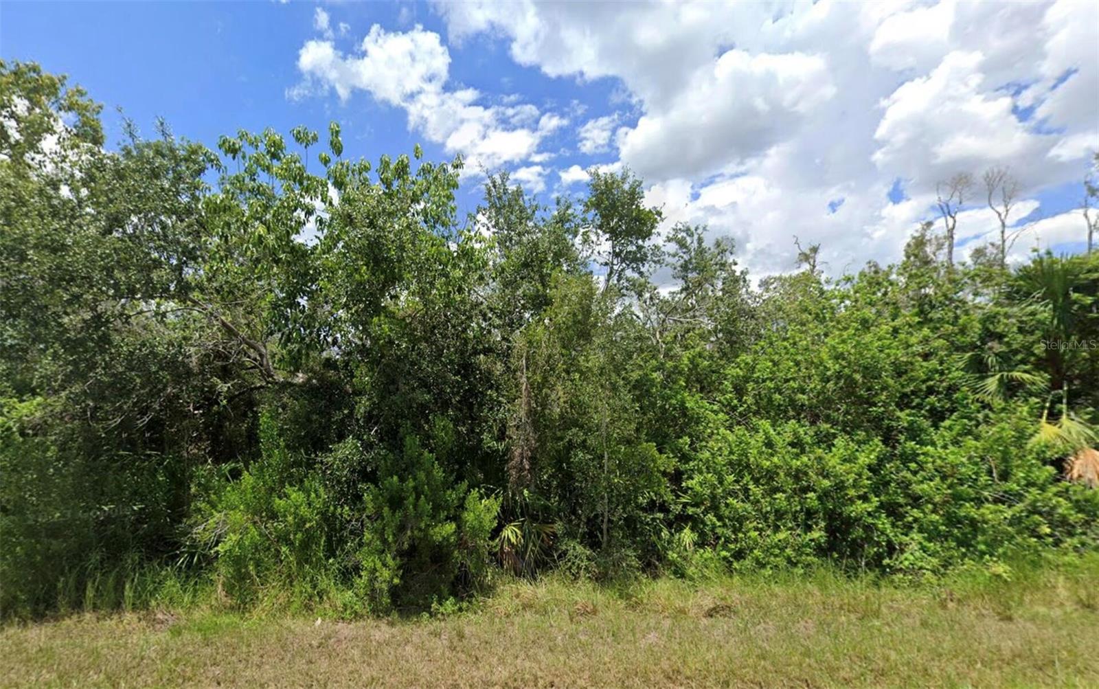 14276 MYAKKA AVE, PORT CHARLOTTE, FL, 33953