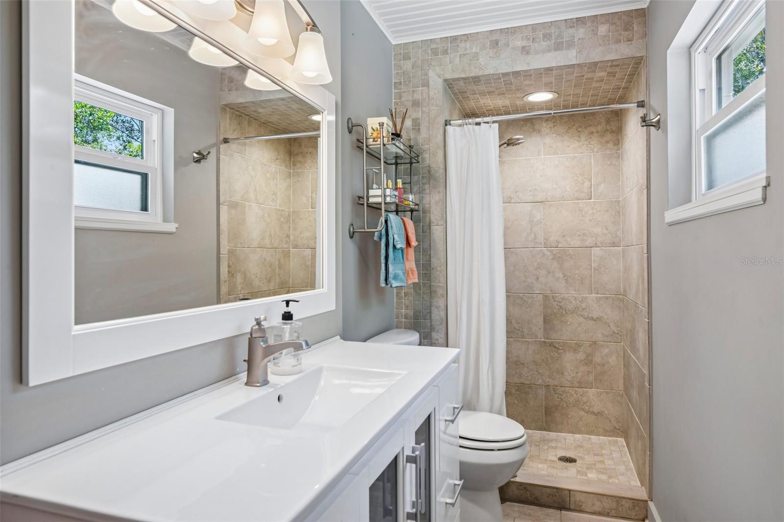 1073 CENTRAL ST, MOUNT DORA, FL, 32757