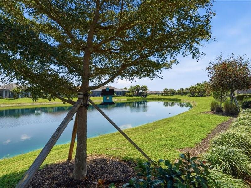 6243 PLATEAU CT, SARASOTA, FL, 34243