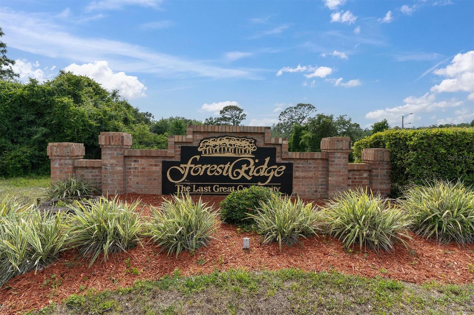 1938 WOOD THRUSH ST, TARPON SPRINGS, FL, 34689