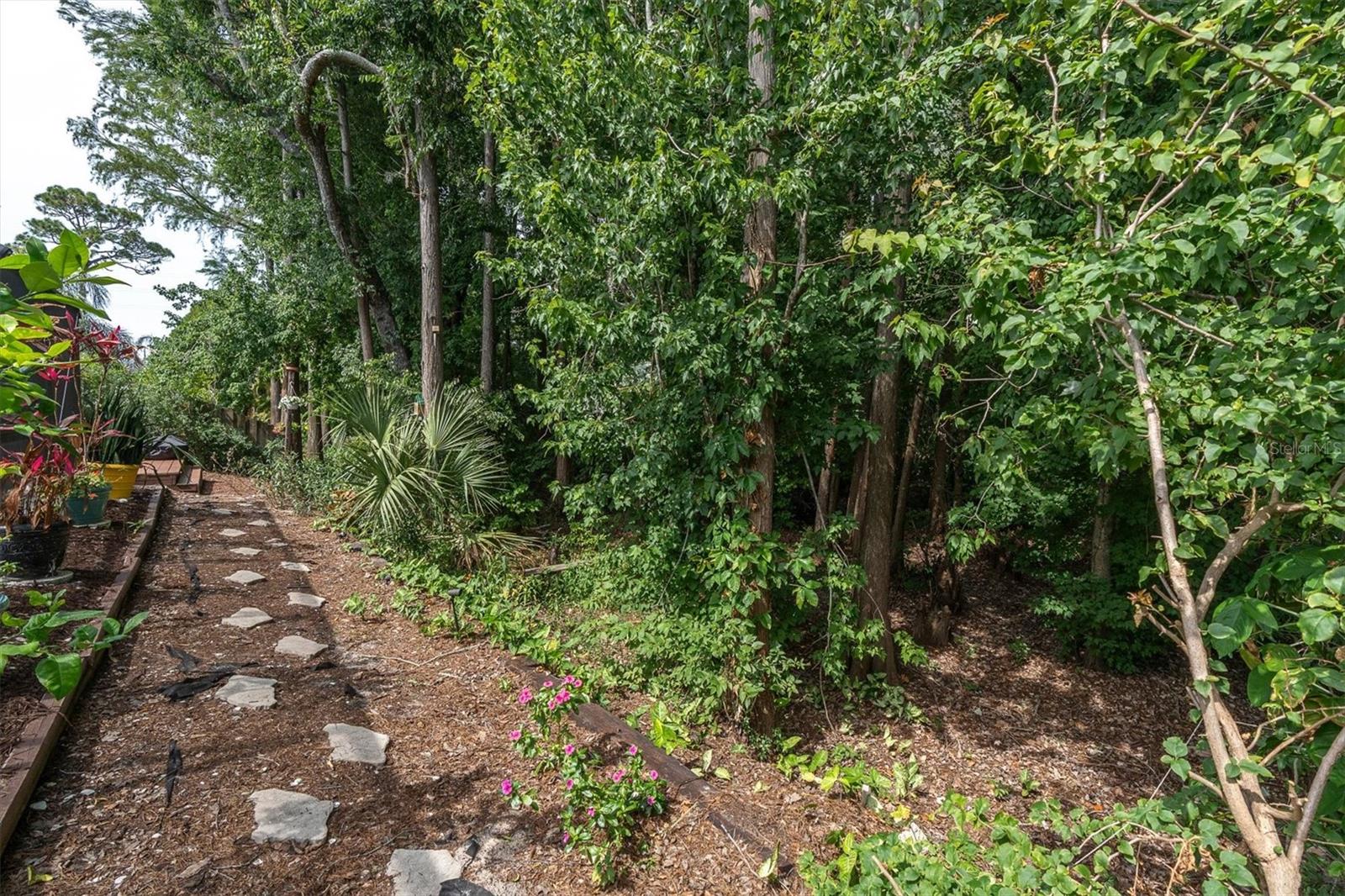 1938 WOOD THRUSH ST, TARPON SPRINGS, FL, 34689