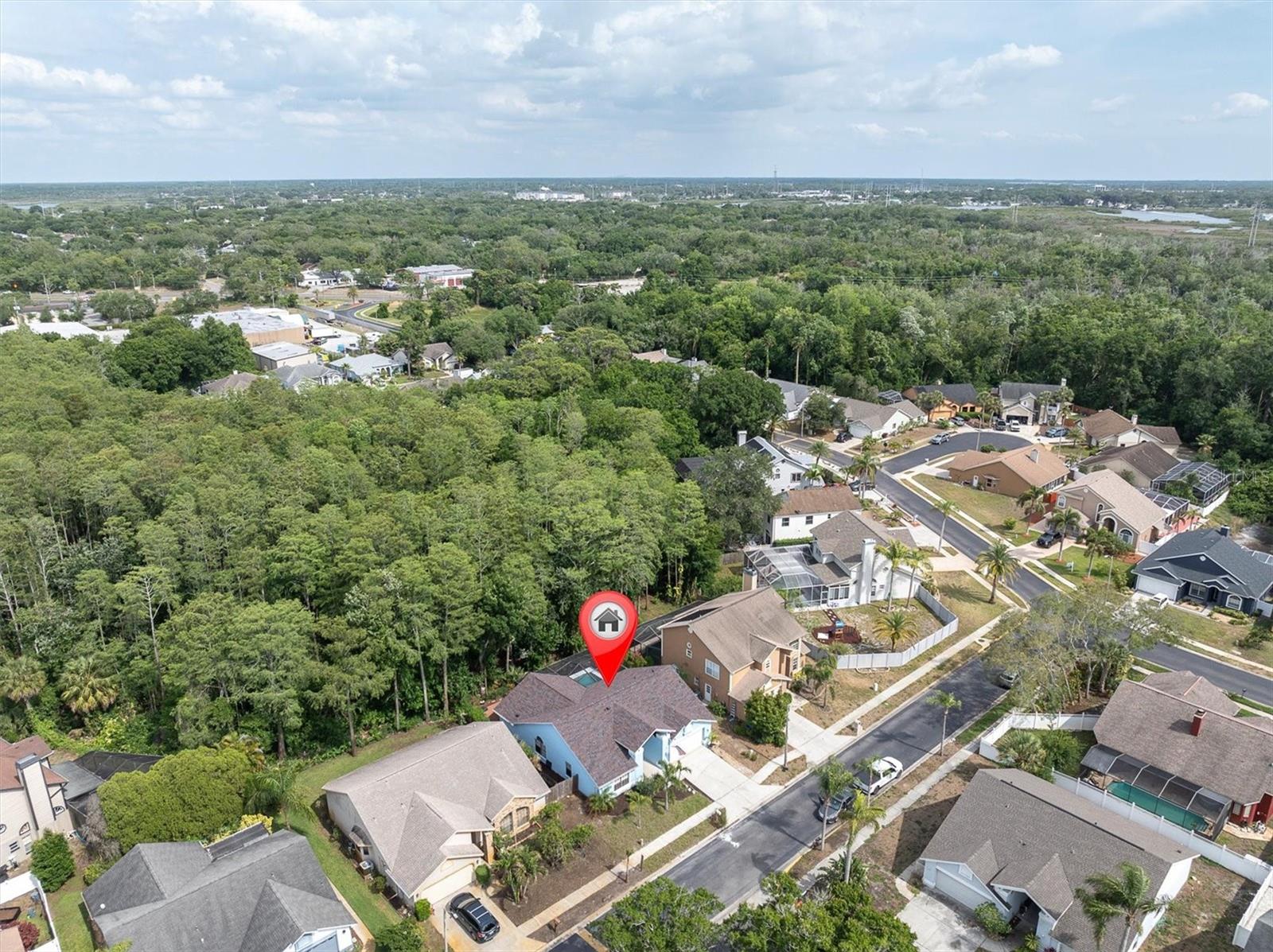 1938 WOOD THRUSH ST, TARPON SPRINGS, FL, 34689