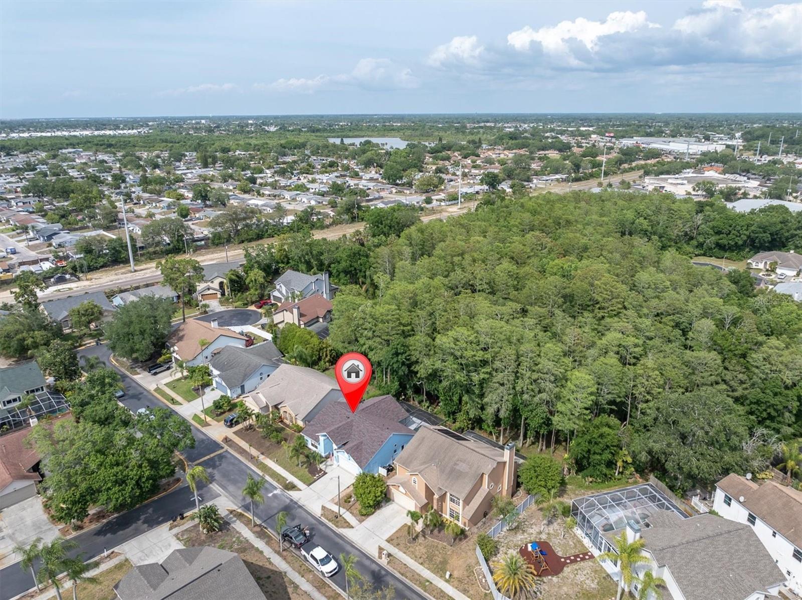 1938 WOOD THRUSH ST, TARPON SPRINGS, FL, 34689
