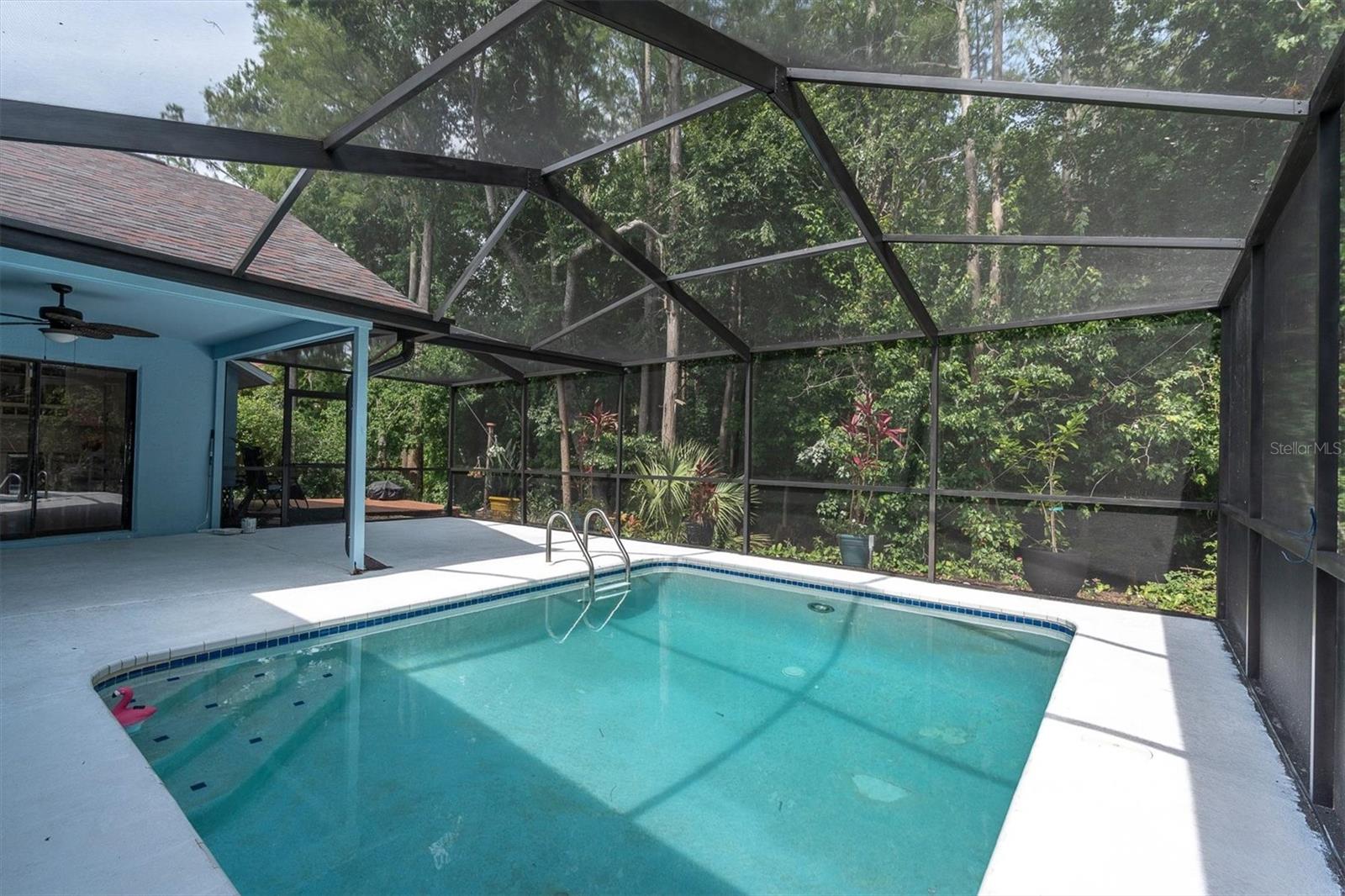 1938 WOOD THRUSH ST, TARPON SPRINGS, FL, 34689