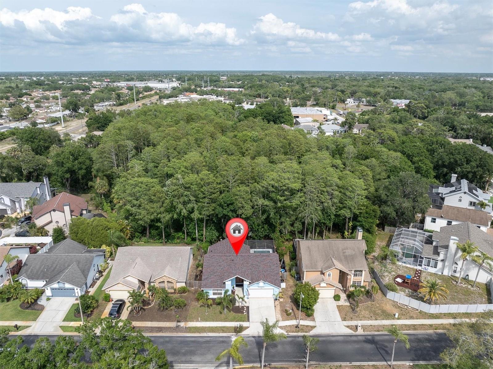 1938 WOOD THRUSH ST, TARPON SPRINGS, FL, 34689
