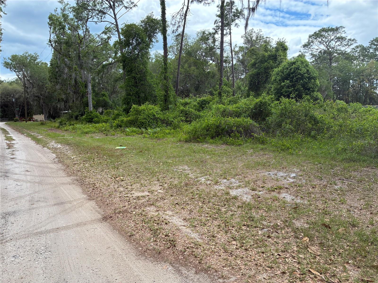 00 SE 87 ST, OCKLAWAHA, FL, 32179
