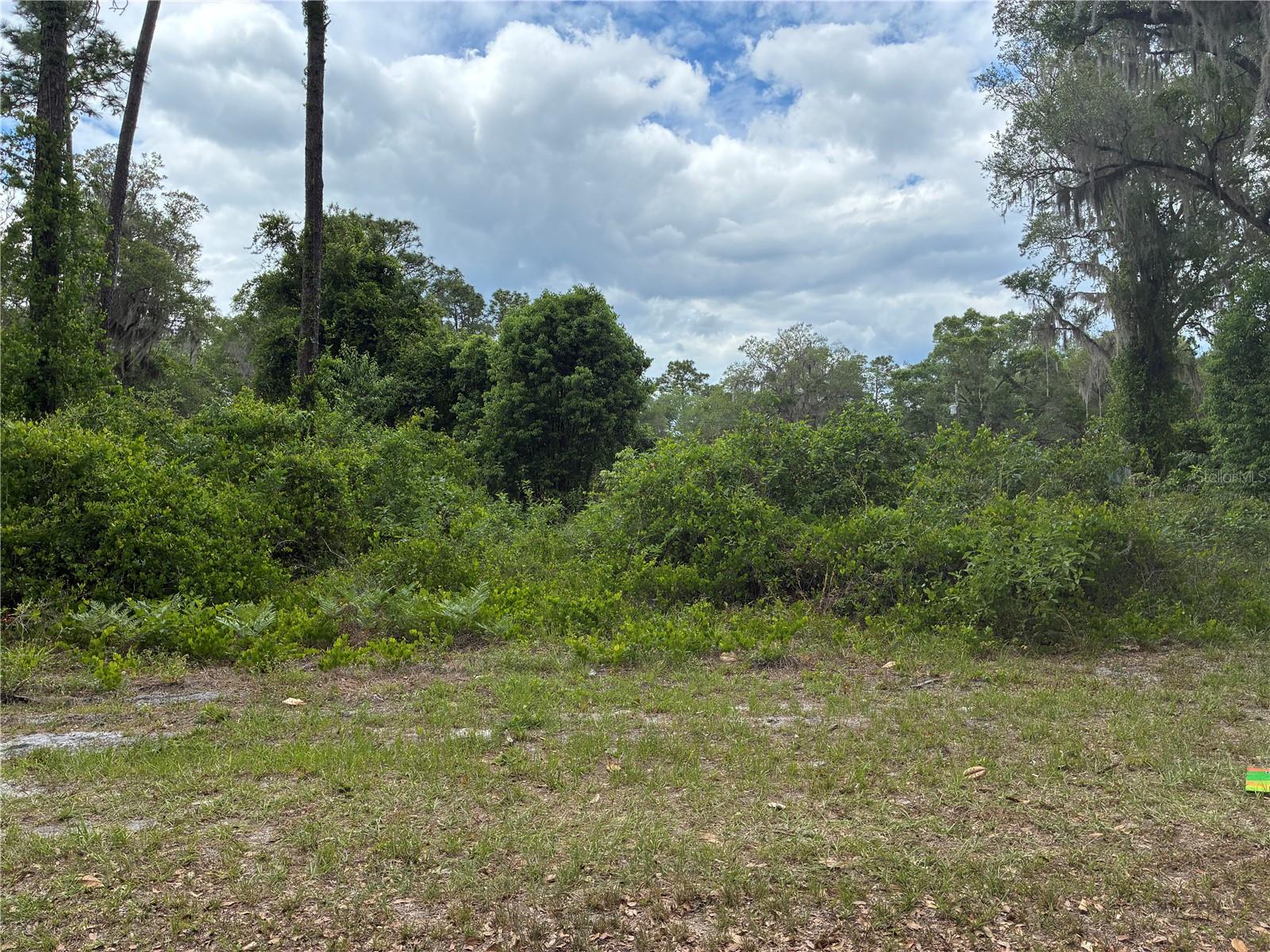 00 SE 87 ST, OCKLAWAHA, FL, 32179