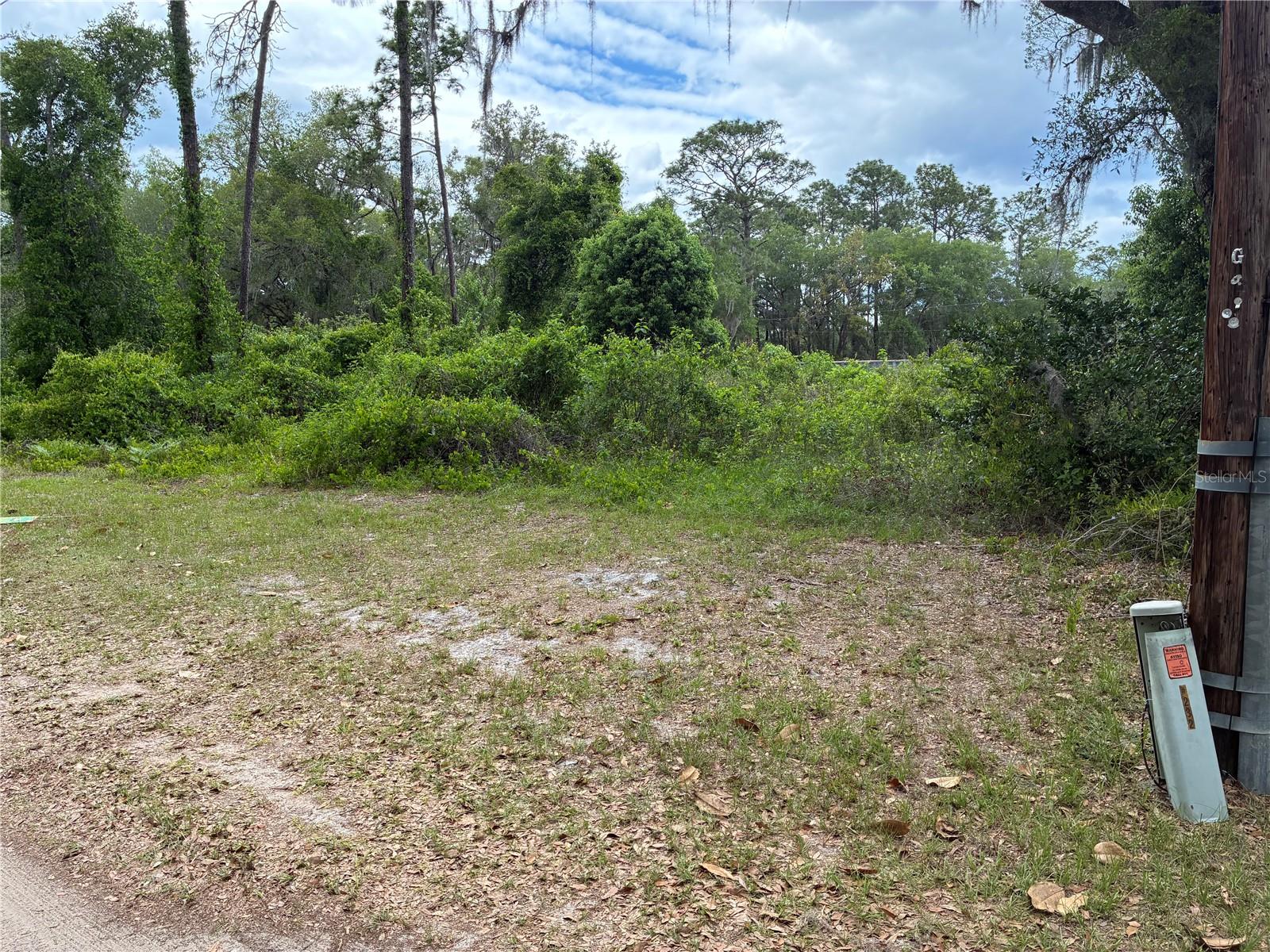 00 SE 87 ST, OCKLAWAHA, FL, 32179