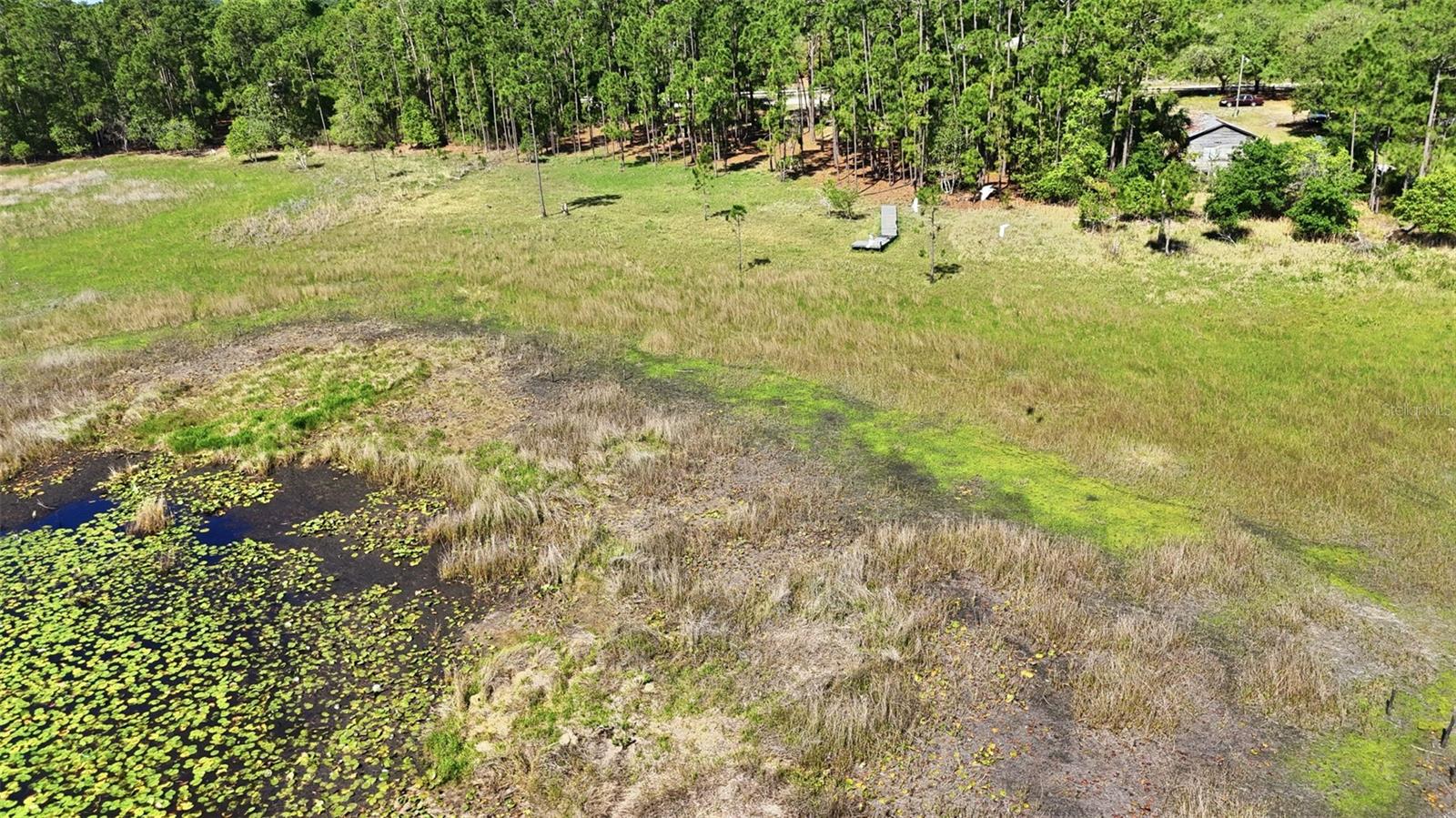 TBD HOLLY BRANCH RD, EUSTIS, FL, 32736