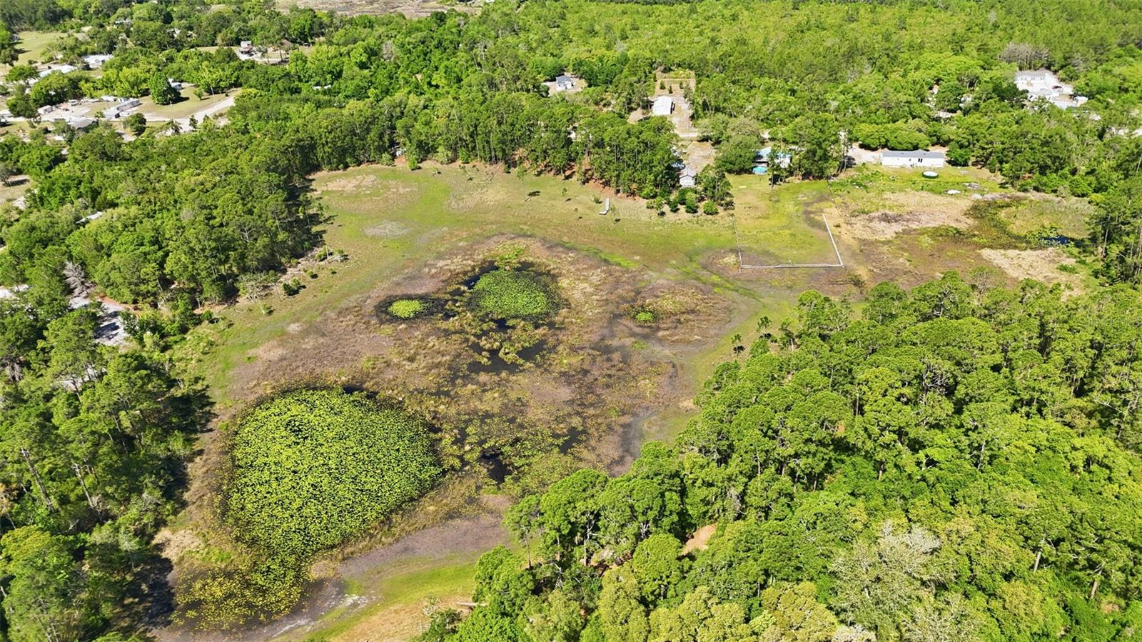 TBD HOLLY BRANCH RD, EUSTIS, FL, 32736