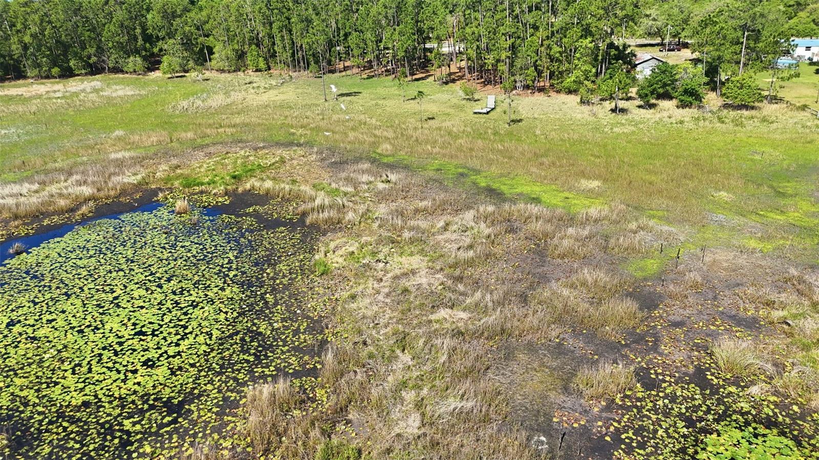 TBD HOLLY BRANCH RD, EUSTIS, FL, 32736