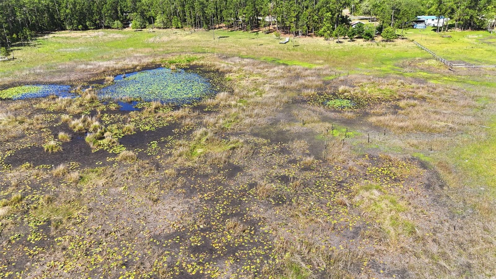 TBD HOLLY BRANCH RD, EUSTIS, FL, 32736