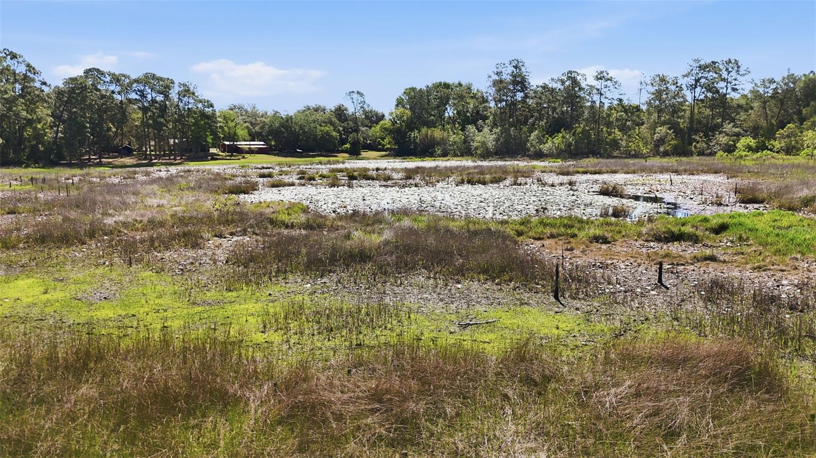 TBD HOLLY BRANCH RD, EUSTIS, FL, 32736