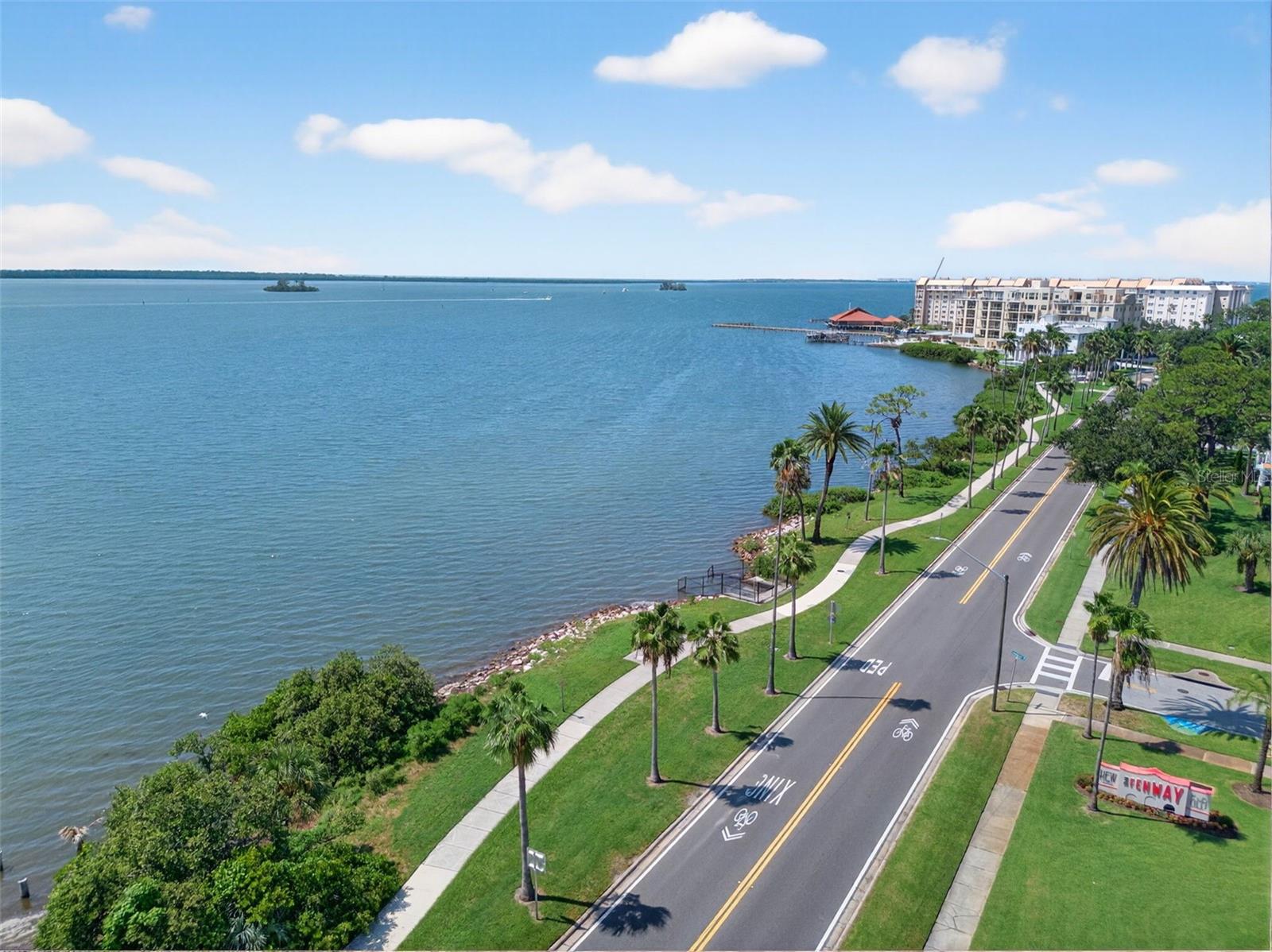 1345 DAFFODIL PL #605, DUNEDIN, FL, 34698