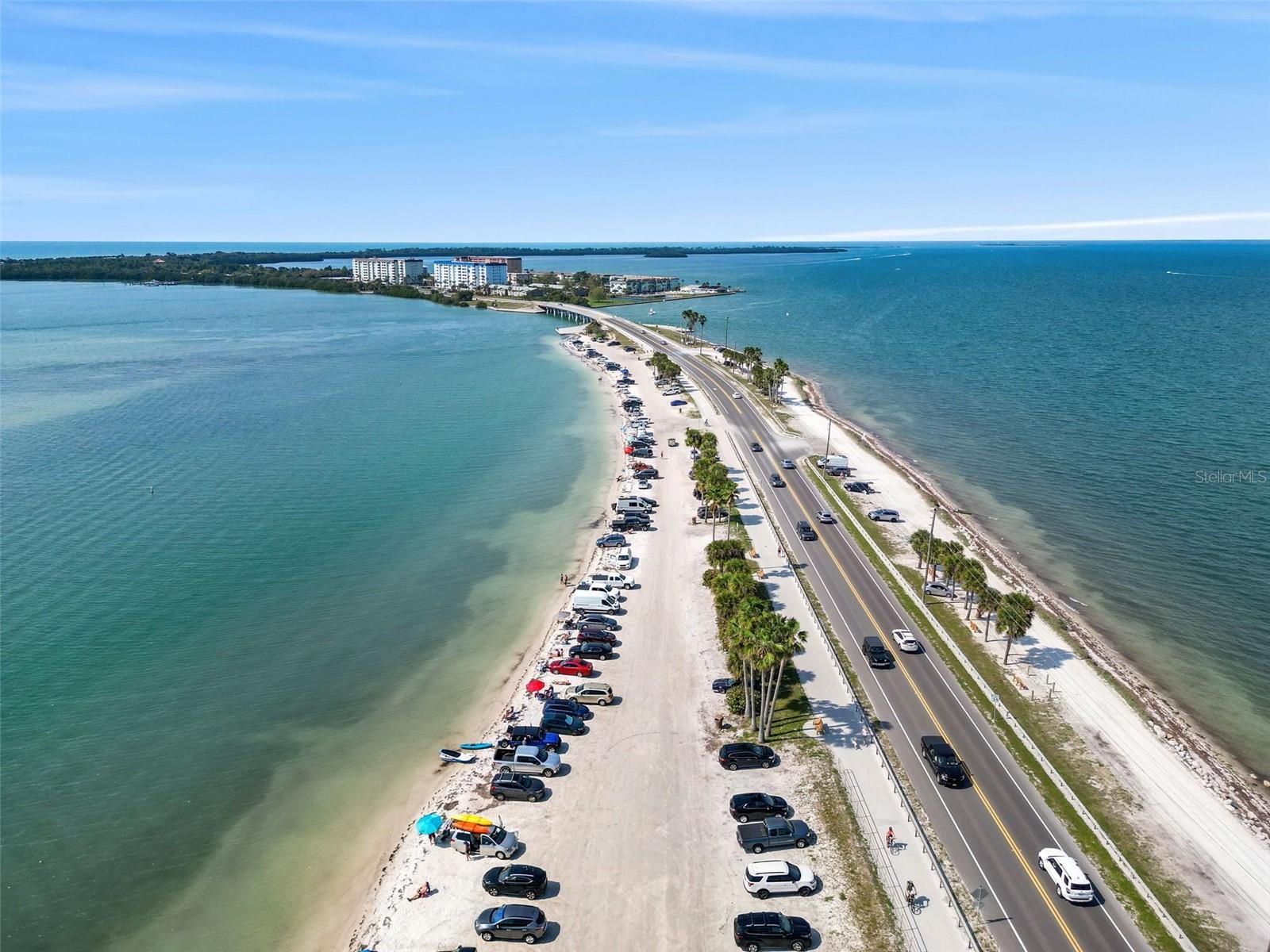 1345 DAFFODIL PL #605, DUNEDIN, FL, 34698