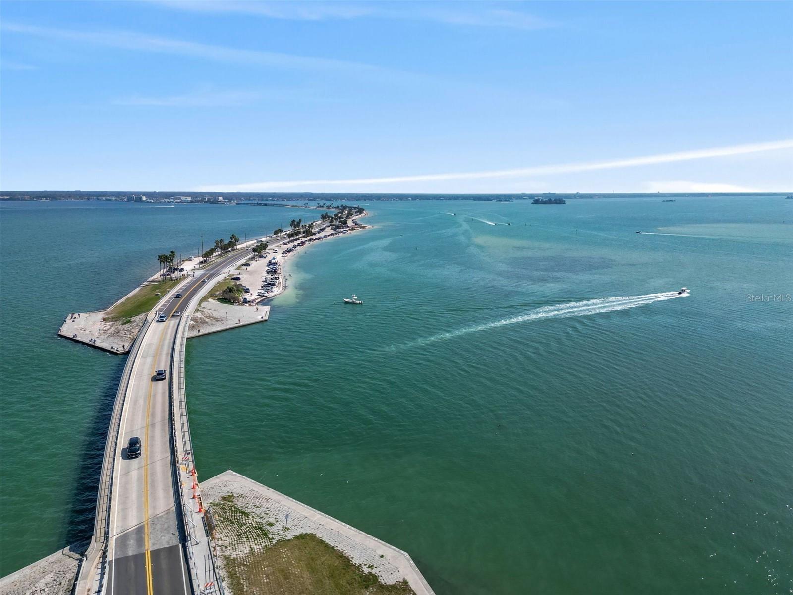 1345 DAFFODIL PL #605, DUNEDIN, FL, 34698