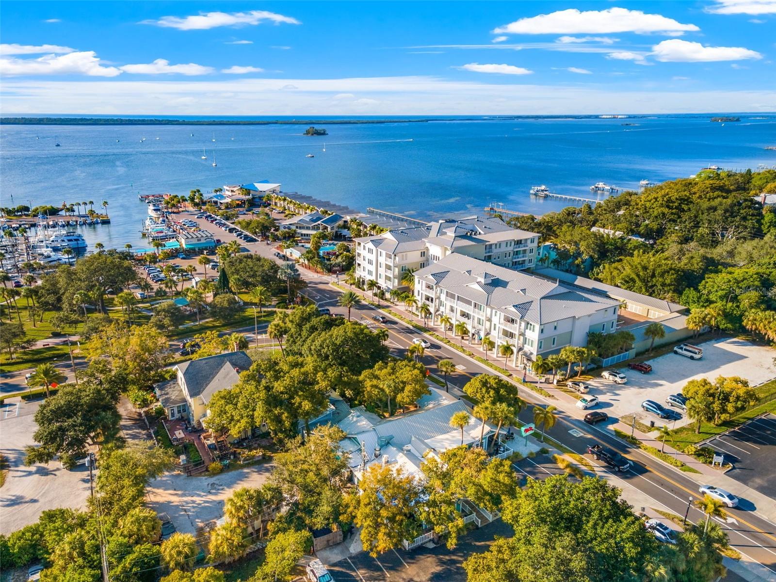 1345 DAFFODIL PL #605, DUNEDIN, FL, 34698