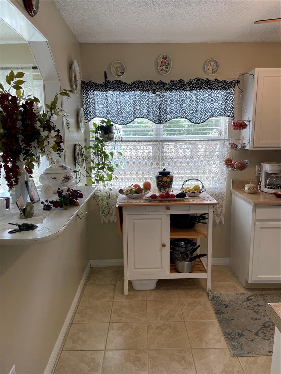 35 HICKORY TRACK WAY, OCALA, FL, 34472
