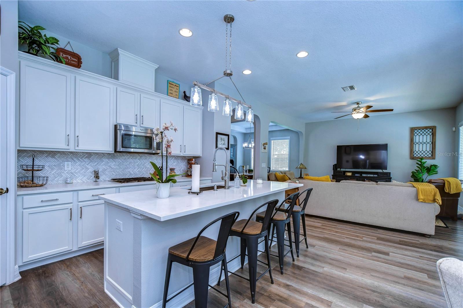 2614 MILFORD BERRY LN, TAMPA, FL, 33618