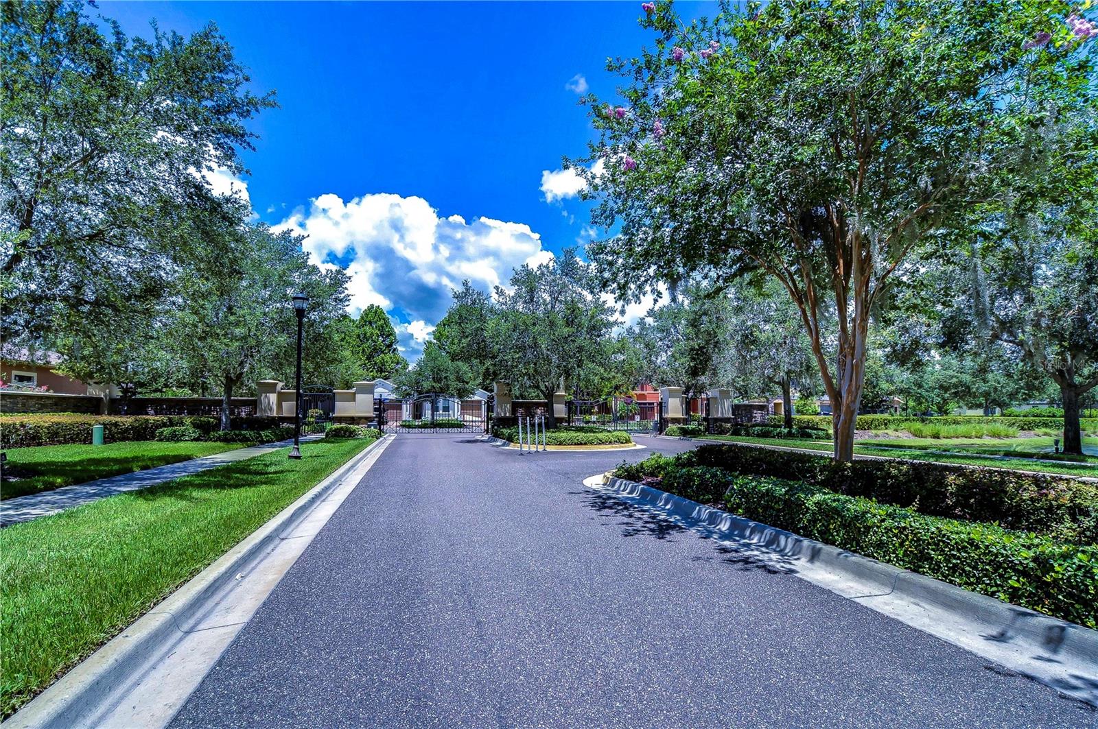 2614 MILFORD BERRY LN, TAMPA, FL, 33618