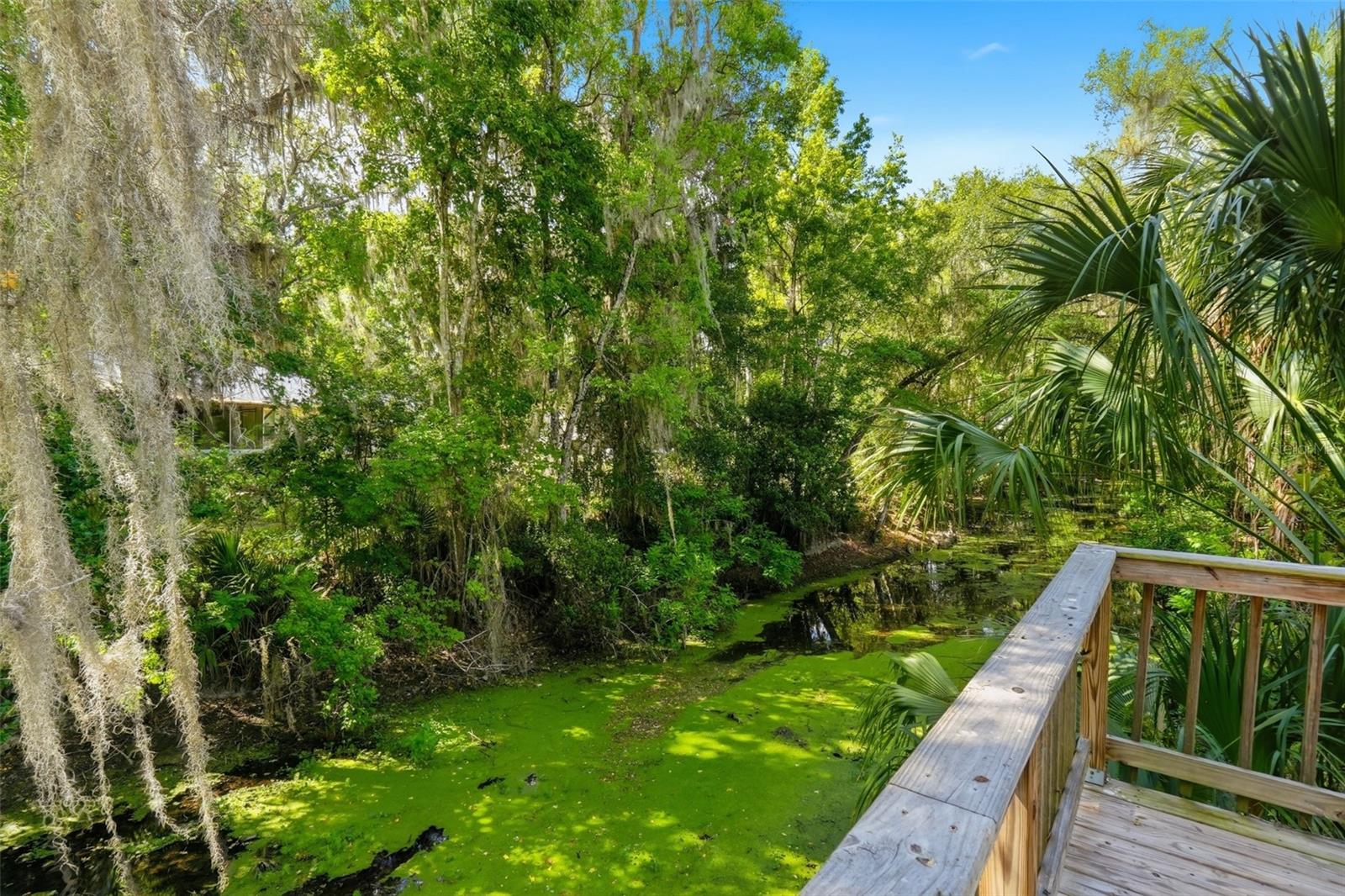 1289 CR 436, LAKE PANASOFFKEE, FL, 33538